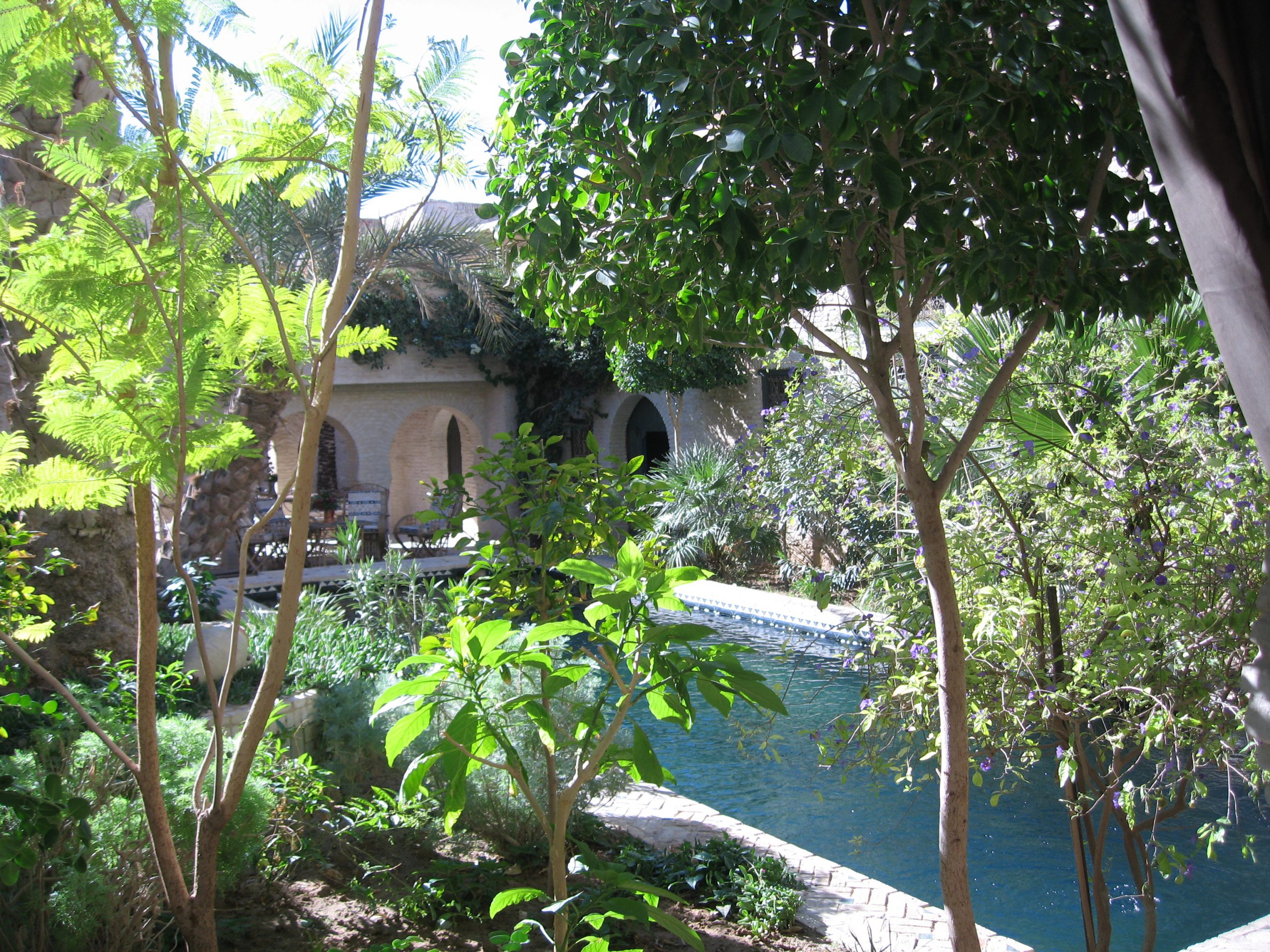 Grande piscine dans les arbres